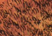 Molten Sea