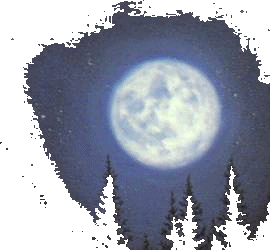 Moon and Forest